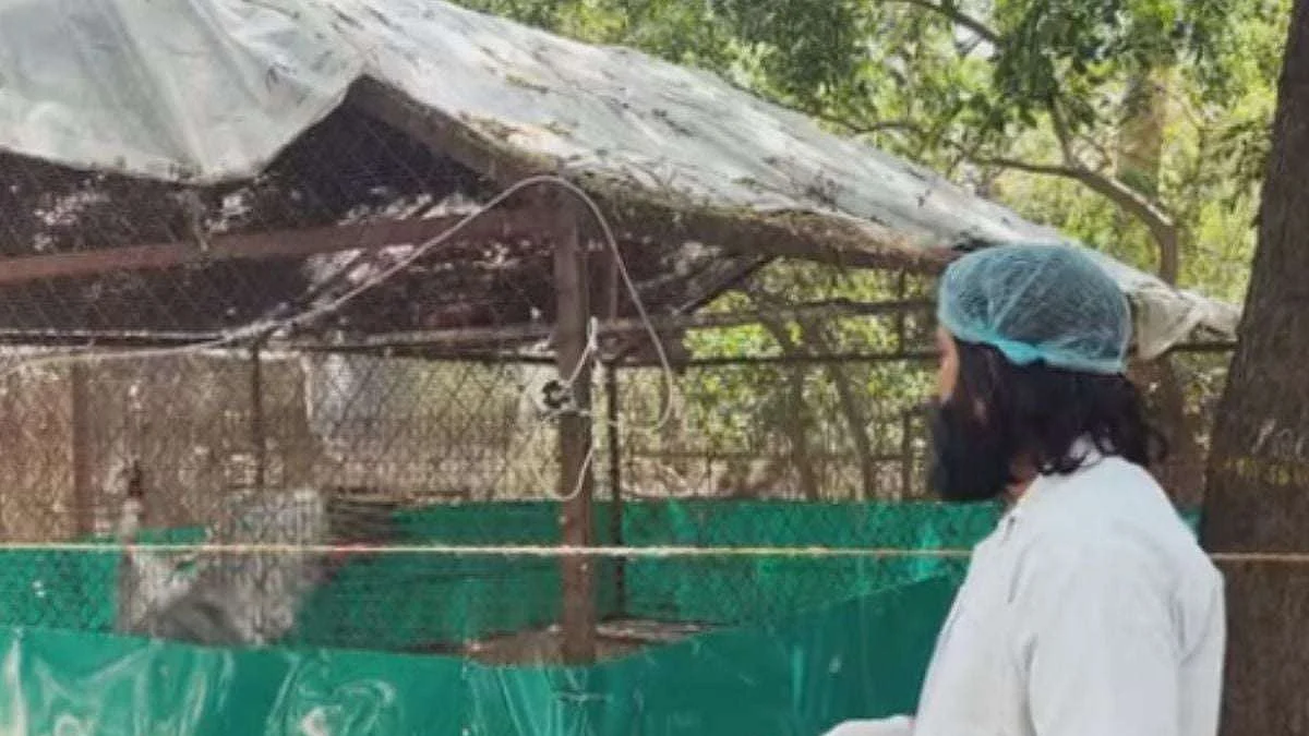 फोटो: सोशल मीडिया