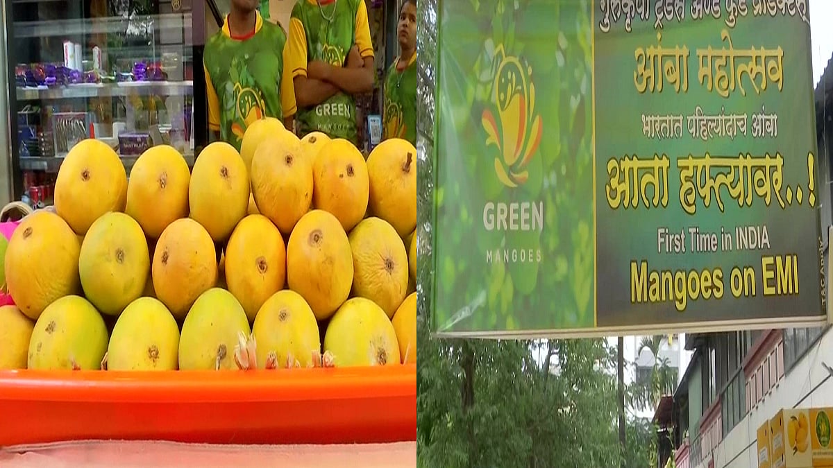 EMI पर आम ले लो आम! पहले स्वाद का उठाएं लुत्फ, फिर चुकाएं पैसे