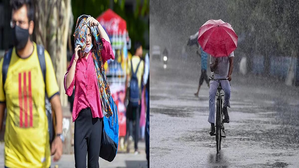 फोटो: सोशल मीडिया