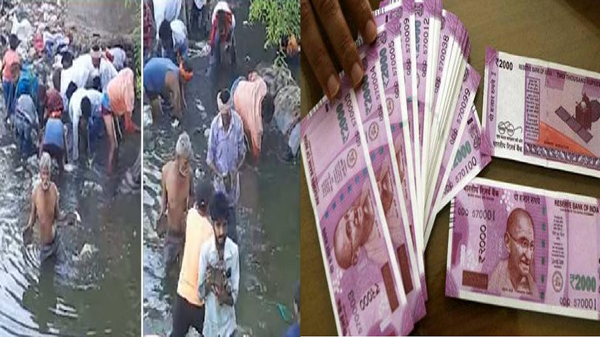 फोटो: सोशल मीडिया