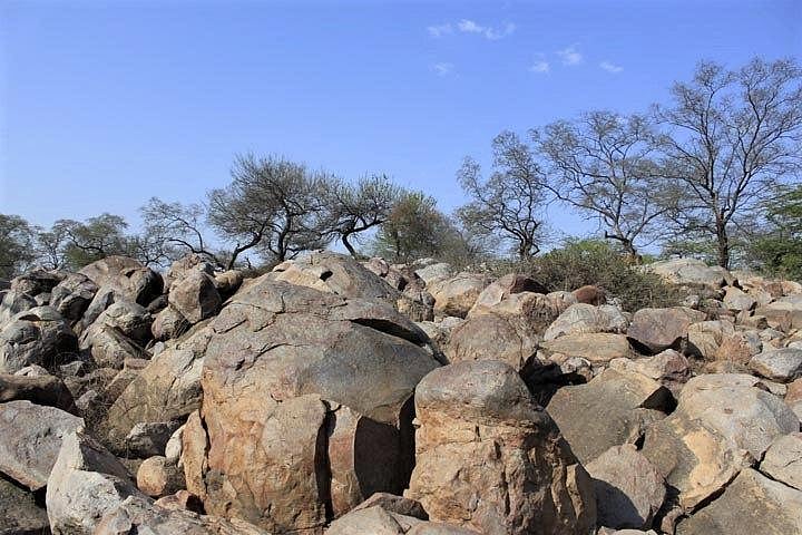 भारत एक बेहद जलवायु संवेदनशील देश, ज्यादातर भारतीयों को है ग्लोबल वॉर्मिग की चिंता, रिपोर्ट में दावा