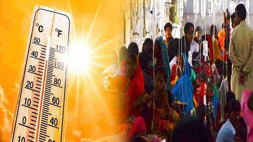 फोटो: सोशल मीडिया