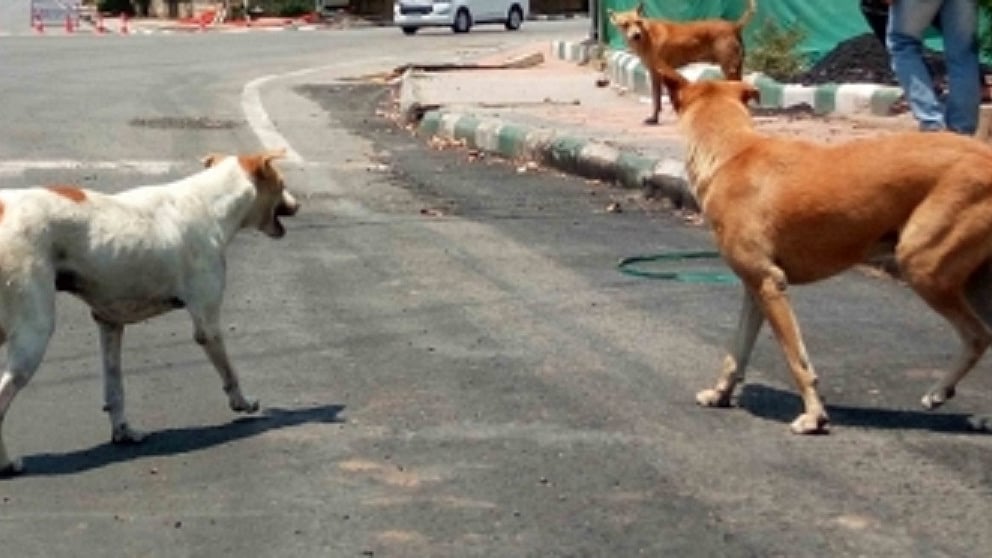 फोटो: IANS