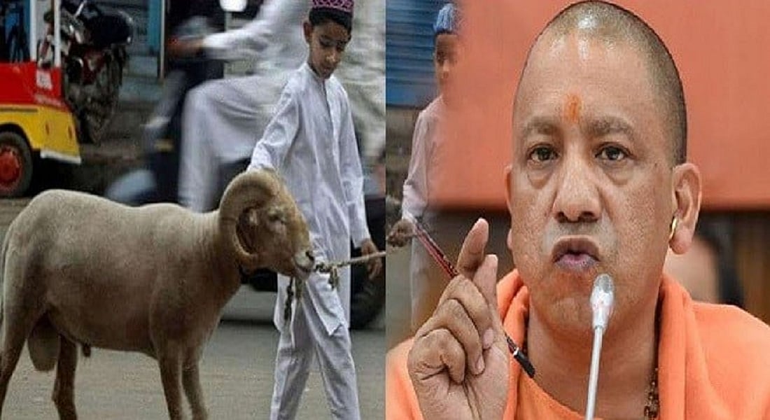 उत्तर प्रदेश: बकरीद पर कुर्बानी को लेकर सीएम योगी का सख्त निर्देश, इन नियमों का रखें ध्यान!