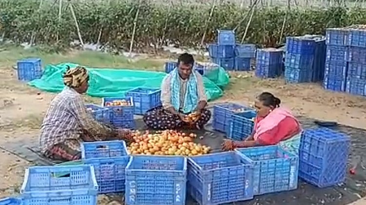 फोटो: IANS