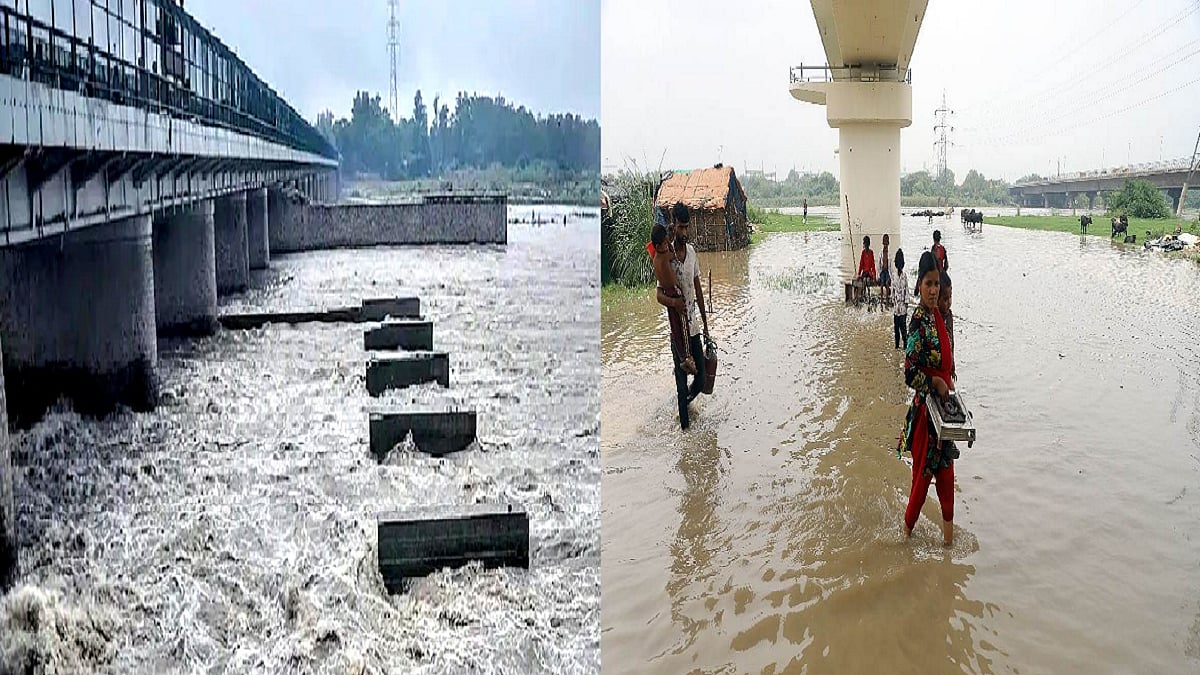 फोटो: सोशल मीडिया