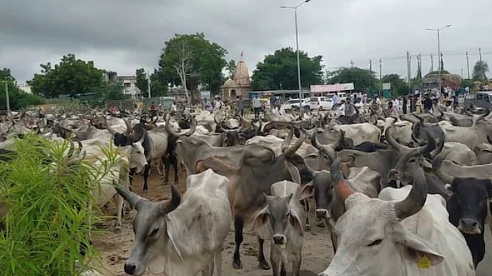 फोटो: IANS