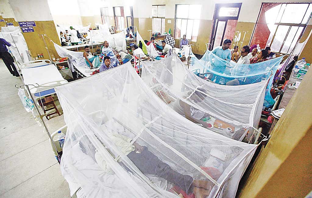 बांग्लादेश में डेंगू का कहर, 11,000 से अधिक लोग अस्पताल में भर्ती, इस महीने अब तक 54 लोगों की मौत