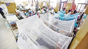 बांग्लादेश में डेंगू का कहर, 11,000 से अधिक लोग अस्पताल में भर्ती, इस महीने अब तक 54 लोगों की मौत