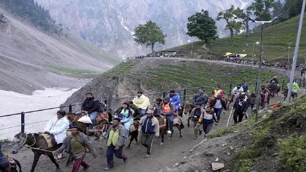 फोटो: सोशल मीडिया