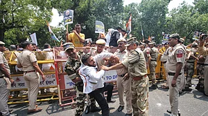 फोटो: विपिन