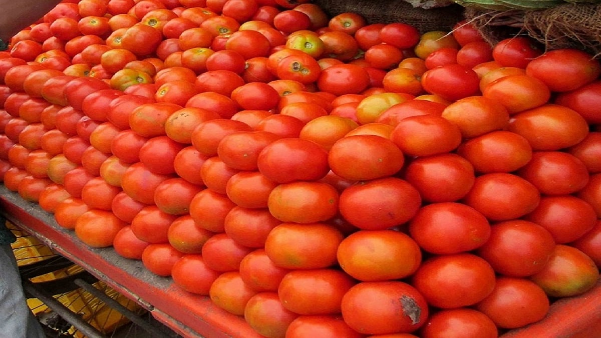 फोटो: सोशल मीडिया