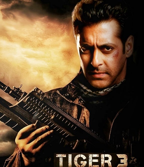 सलमान खान स्टारर 'टाइगर 3' में दिखेगा हॉलीवुड का कनेक्शन, कई बड़े चेहरे हैं फिल्म का हिस्सा 