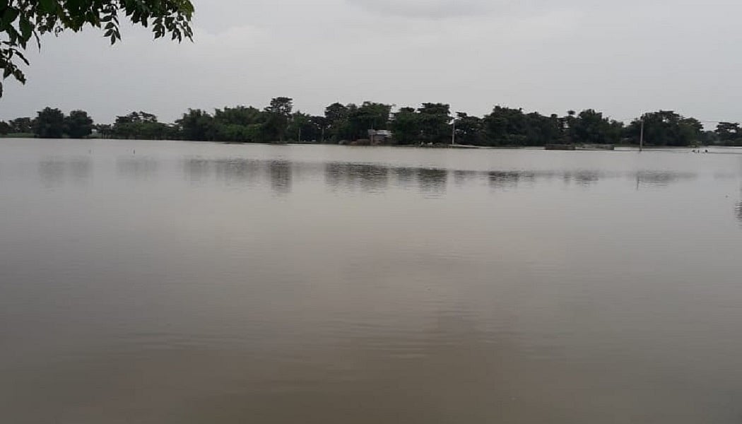 बिहार के कई जिलों में बाढ़ का खतरा, लगातार बढ़ रहा कोसी नदी का जलस्तर, निचले इलाके डूबे