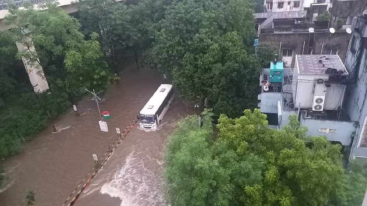 फोटो: सोशल मीडिया