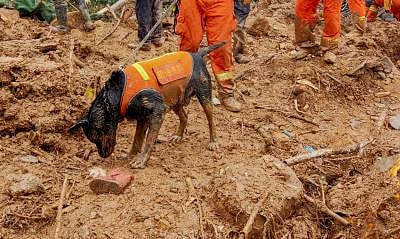 दुनिया: चीन में बारिश से भारी तबाही, 7 लापता और कई घायल और तिमोर-लेस्ते में दूतावास स्थापित करेगा भारत
