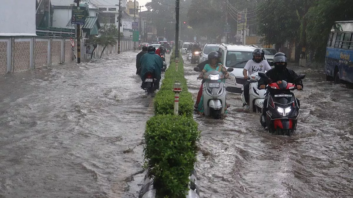 फोटो: सोशल मीडिया