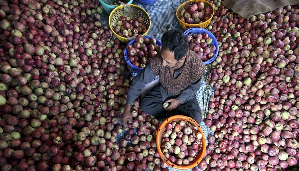 अडानी ग्रुप का भीषण आपदा में भी हिमाचल के सेब बागवानों से रेट का खेल, फूटा गुस्सा, पहली बार समूह का बायकाट