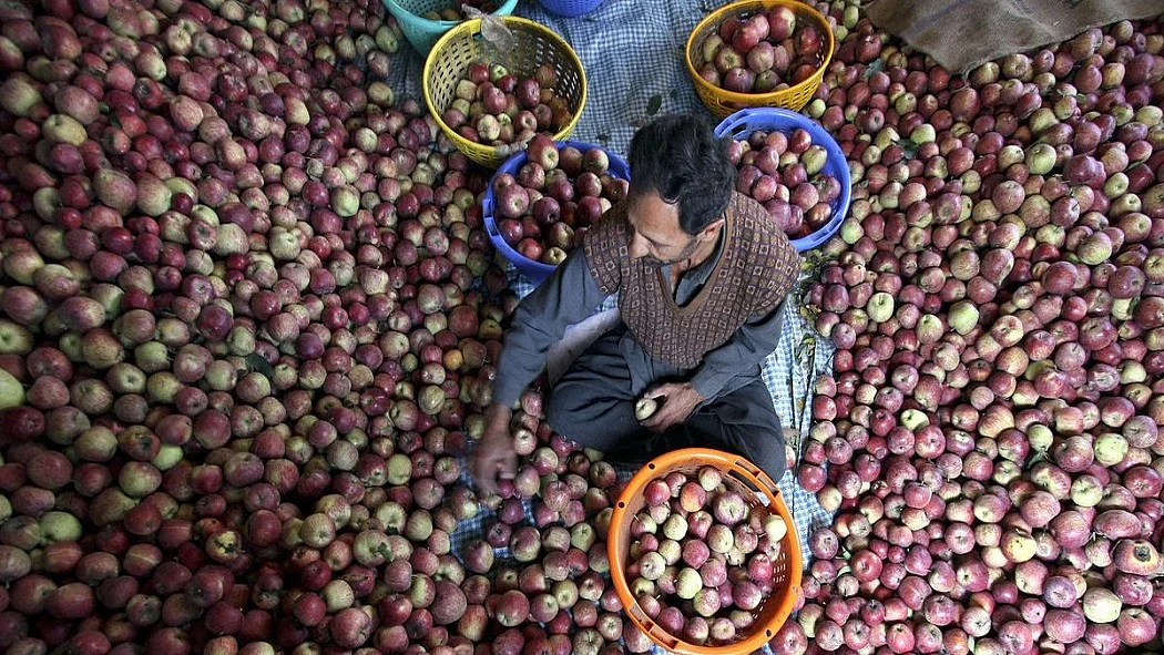अडानी ग्रुप का भीषण आपदा में भी हिमाचल के सेब बागवानों से रेट का खेल, पहली बार समूह का बायकाट