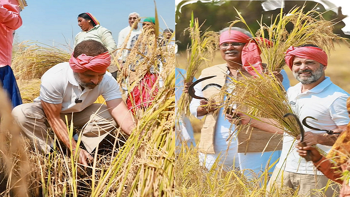 फोटो: INCIndia