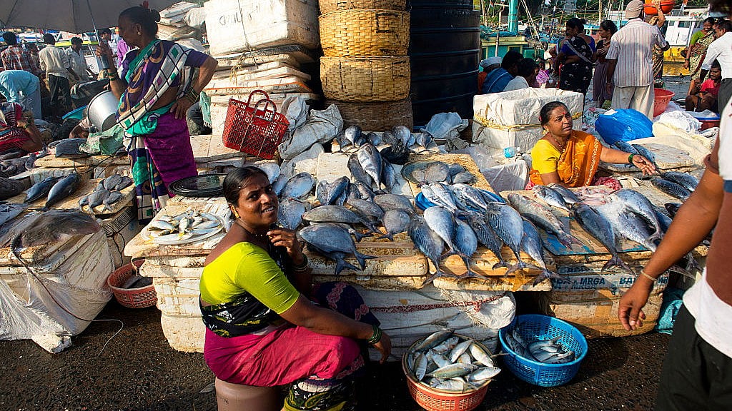 महाराष्ट्र में मछली की खुली बिक्री आम बात है (फोटो - Getty Images)