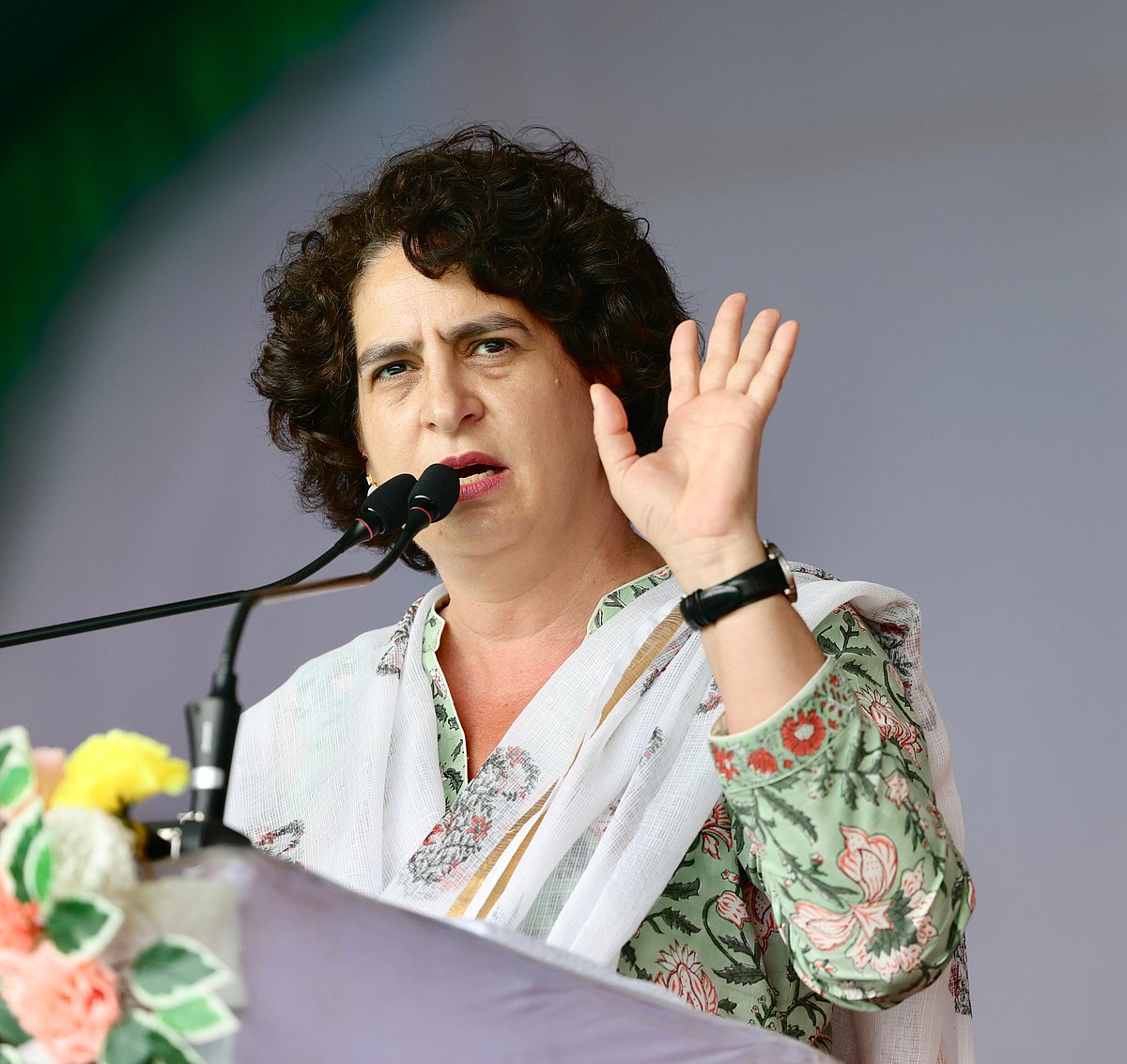'छत्तीसगढ़ में फिर बनी सरकार तो 200 यूनिट तक फ्री मिलेगी बिजली, LPG पर 500 सब्सिडी',  प्रियंका गांधी ने किया वादा