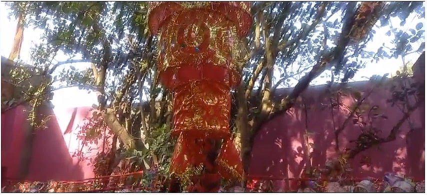 बिहार इस गांव में नवरात्रि में शक्ति के रूप में होती है एक वृक्ष की पूजा, उमड़ती है भक्तों की भीड़