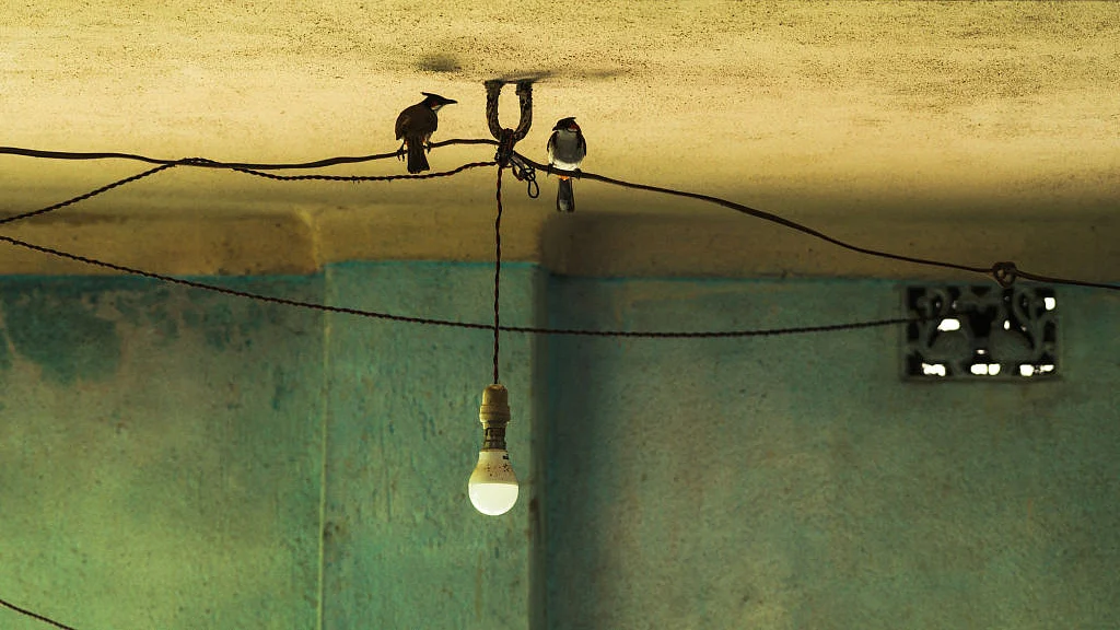 फोटो: Getty Images