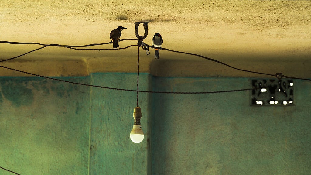 फोटो: Getty Images