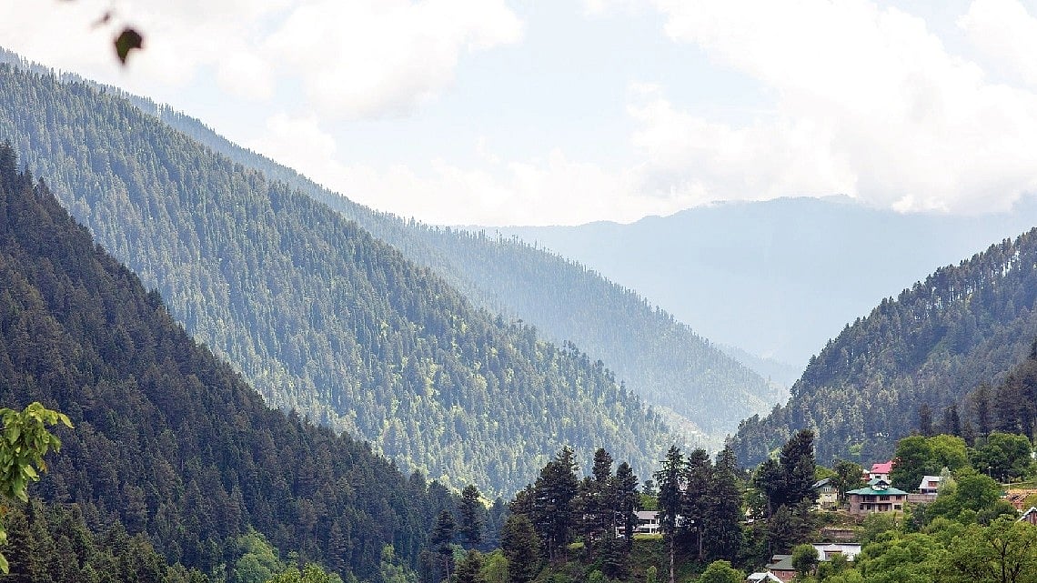 जंगल और जमीन पर इंसानी लालच का साया