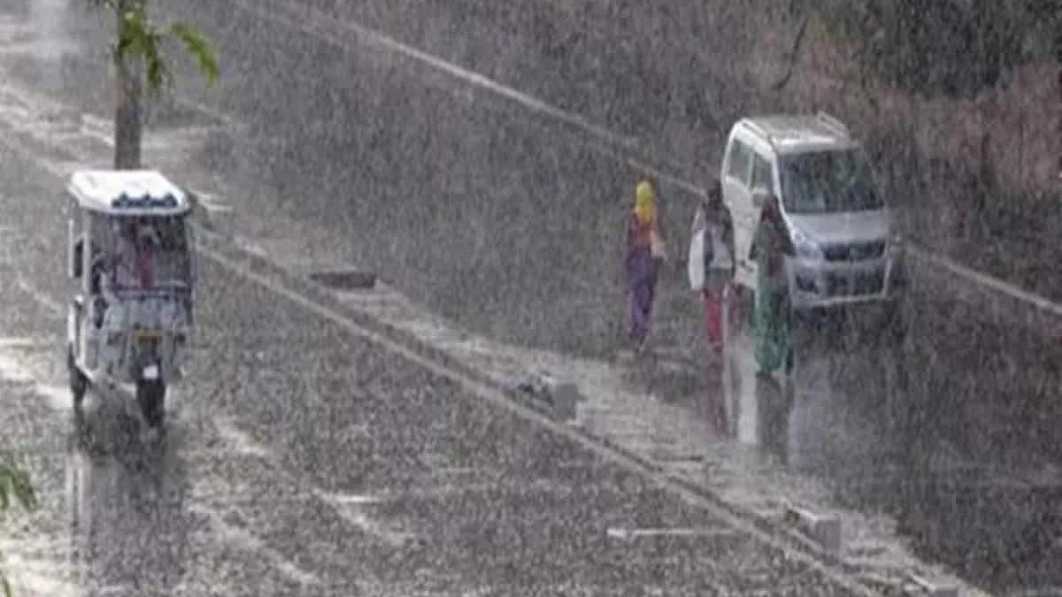फोटो: सोशल मीडिया  