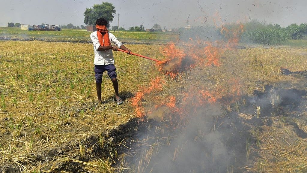भयावह प्रदूषण से बेदम दिल्ली-एनसीआर को क्या पराली निपटान के नए तरीकों से मिल सकती है राहत!