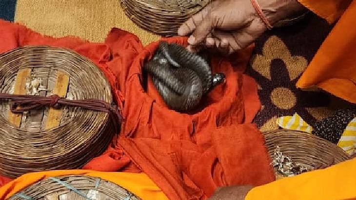 फोटो: सोशल मीडिया