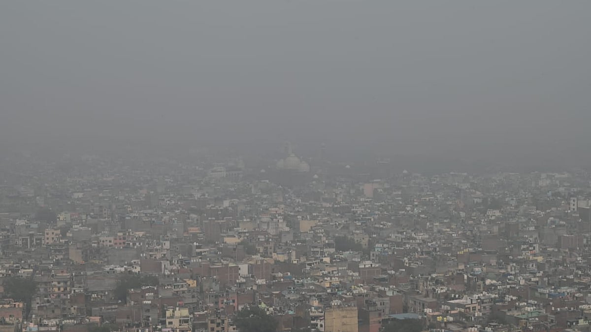 फोटो: विपिन