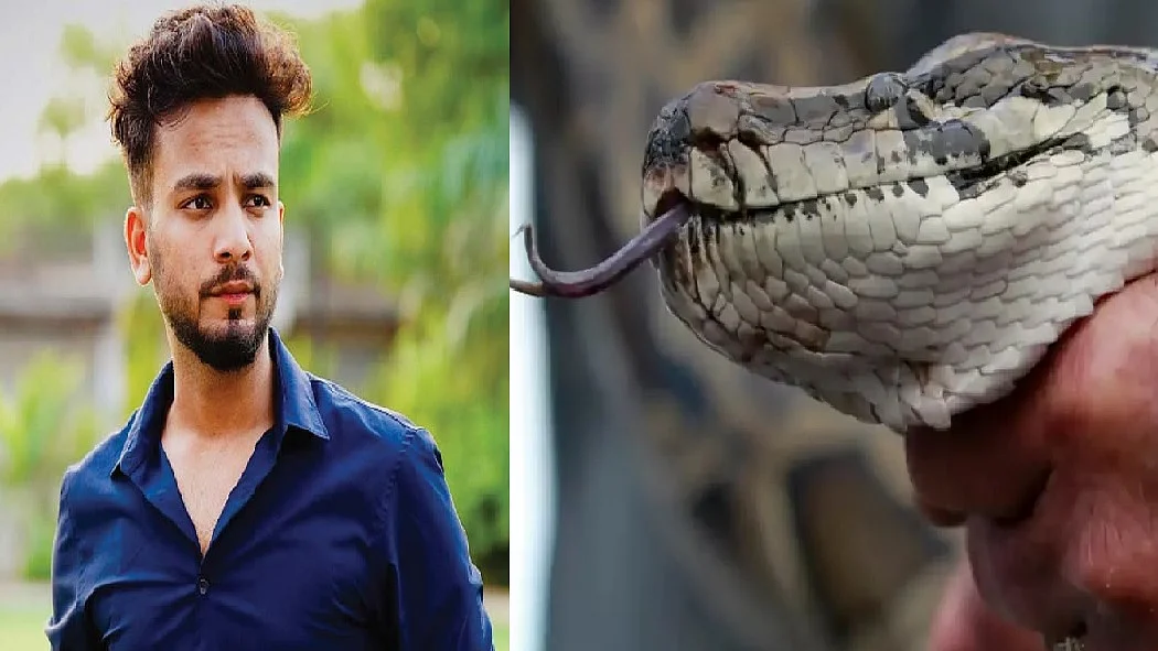 फोटो: सोशल मीडिया