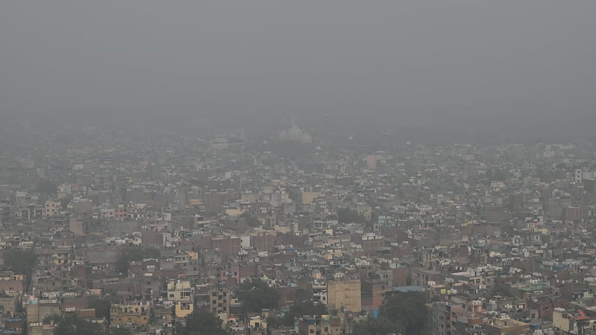 फोटो: विपिन