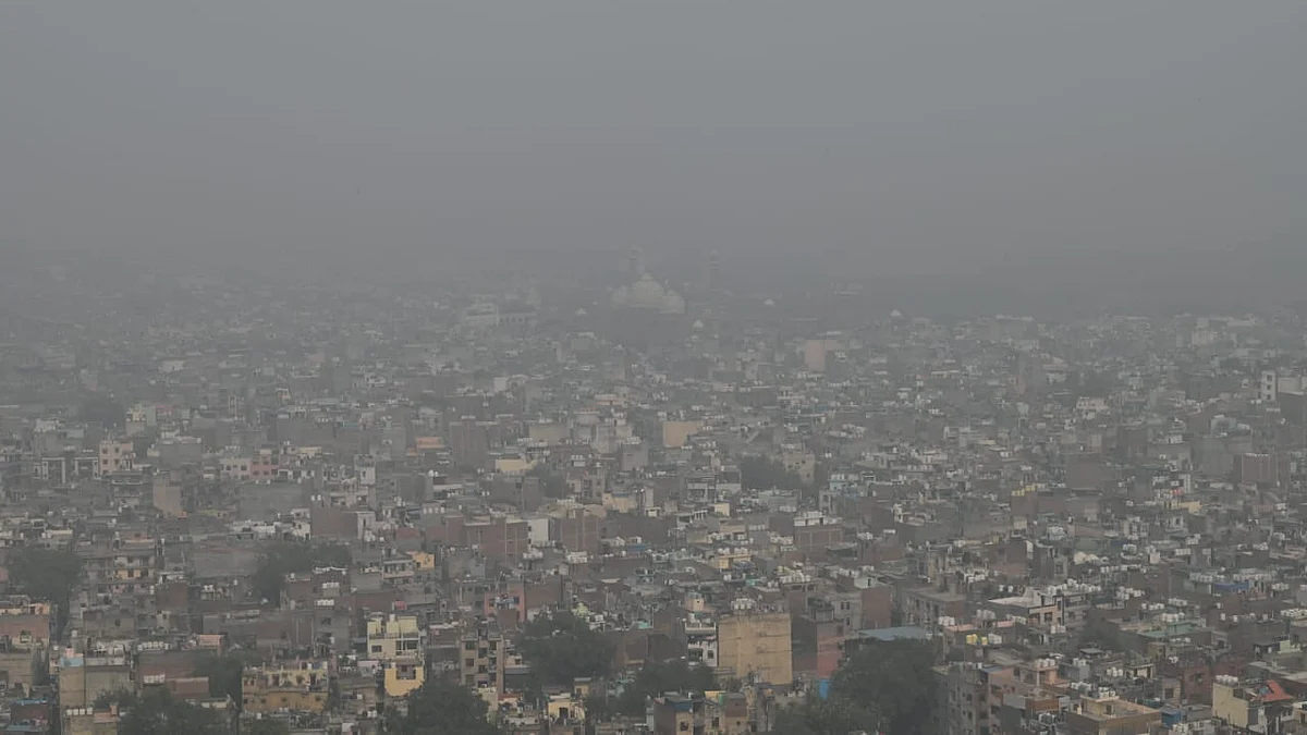 फोटो: विपिन