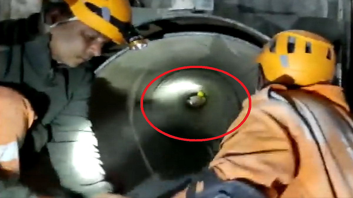 फोटो: सोशल मीडिया