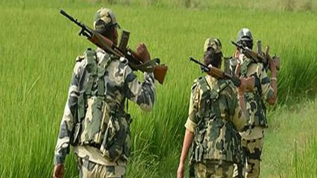 फोटो: सोशल मीडिया