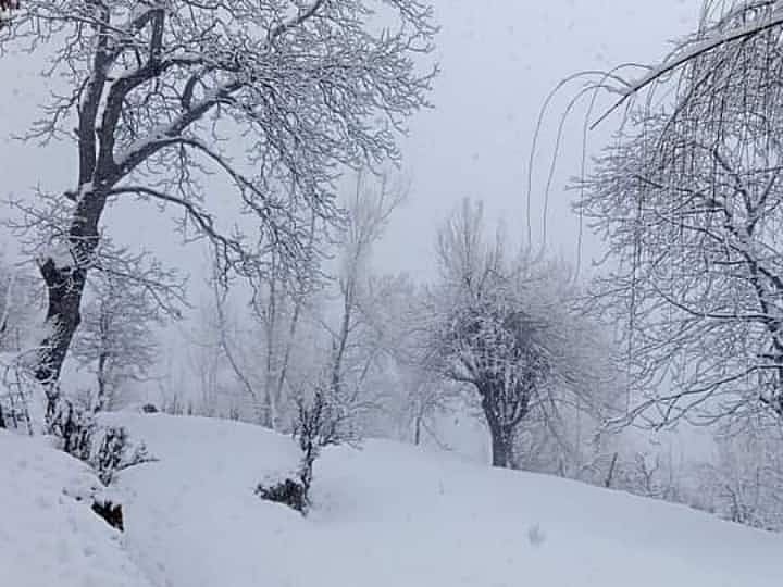 उत्तराखंड के सात जिलों में बारिश को लेकर येलो अलर्ट जारी, आकाशीय बिजली और ओलावृष्टि का पूर्वानुमान