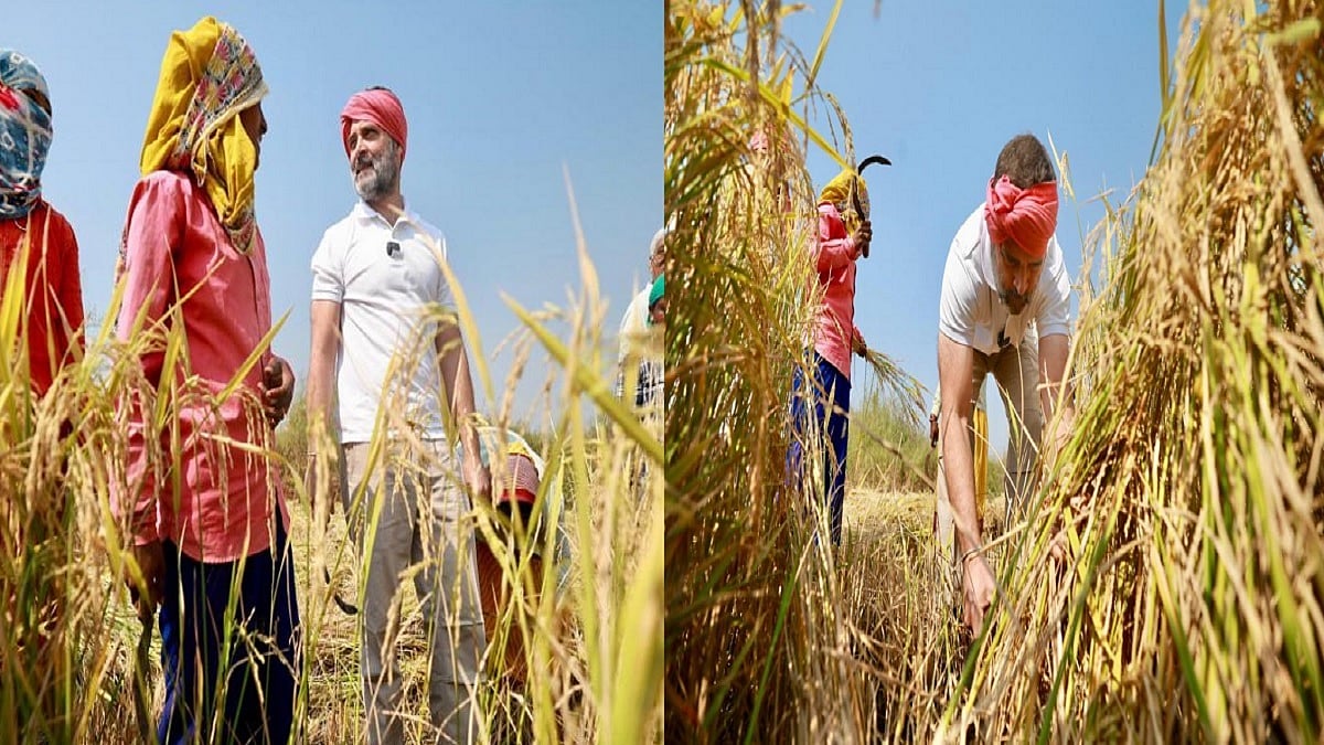 राहुल गांधी ने शेयर किया वीडियो, बोले- छत्तीसगढ़ के किसानों से हुई बात, वो राज्य सरकार की सुविधाओं से हैं संतुष्ट