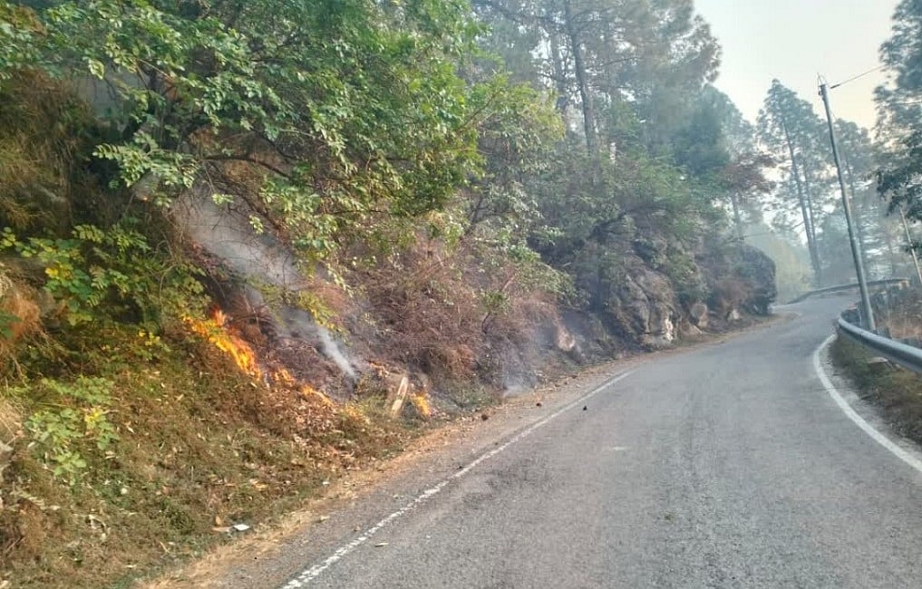 उत्तरकाशी के गंगा और यमुना घाटी के जंगल में 5 दिनों से धधक रही आग, अब तक किसी ने नहीं ली सूध