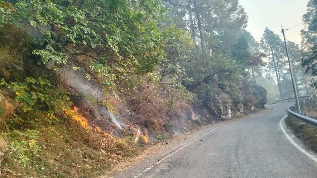 उत्तरकाशी के गंगा और यमुना घाटी के जंगल में 5 दिनों से धधक रही आग, अब तक किसी ने नहीं ली सूध