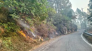 उत्तरकाशी के गंगा और यमुना घाटी के जंगल में 5 दिनों से धधक रही आग, अब तक किसी ने नहीं ली सूध