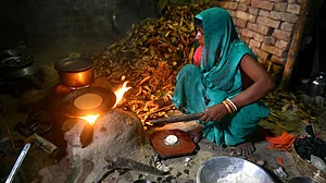 सरकारी दस्तावेज़ों में दिखाई जा रही विकास की गुलाबी तस्वीर और तथ्यों से झलकती दावों की खोखली जड़ें