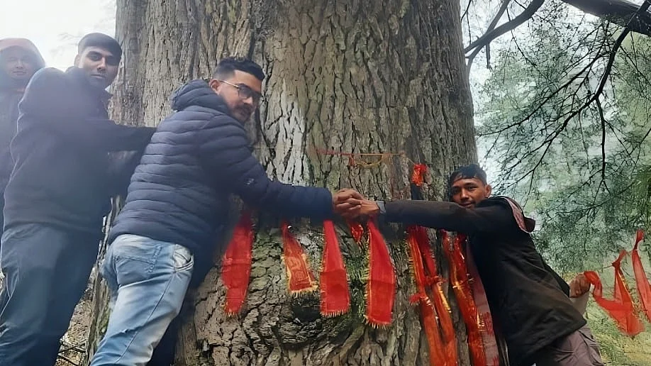 फोटो: सोशल मीडिया