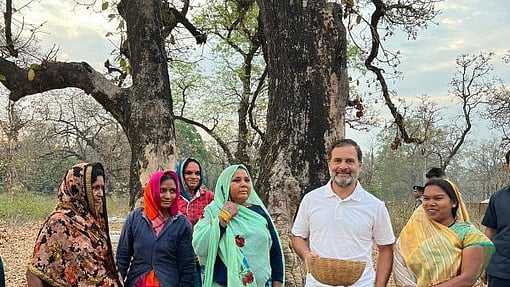 फोटो: सोशल मीडिया