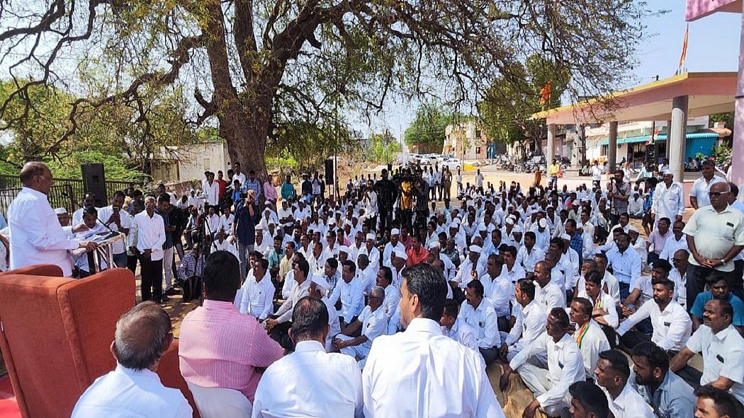 शरद पवार प्रचार रोककर पुणे के सूखा प्रभावित किसानों से मिले, अन्नदाताओं का दर्द सुना