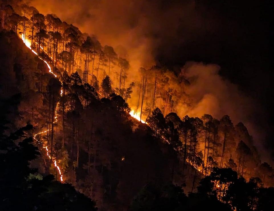 6 महीने से जंगल की आग में धधक रहा उत्तराखंड, चुनाव में व्यस्त बीजेपी सरकार बेपरवाह