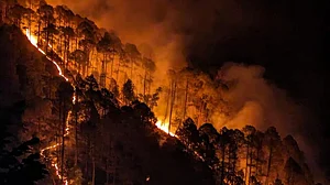 6 महीने से जंगल की आग में धधक रहा उत्तराखंड, चुनाव में व्यस्त बीजेपी सरकार बेपरवाह